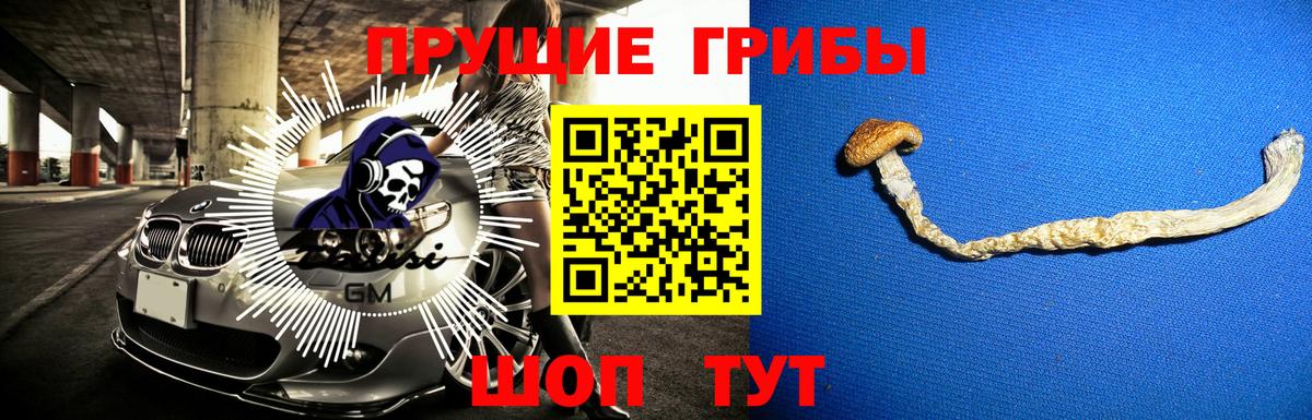 Псилоцибиновые грибы GOLDEN TEACHER Ипатово
